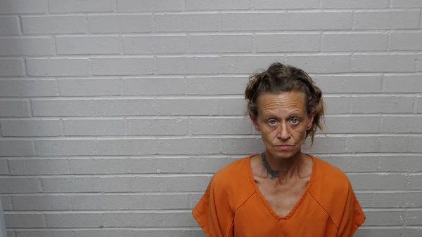 Mugshot of MELISSA LYNN ARGUETA