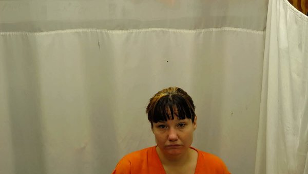 Mugshot of ADEANA WILLARD MCKENZIE