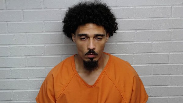 Mugshot of RYAN JYMES WEBB