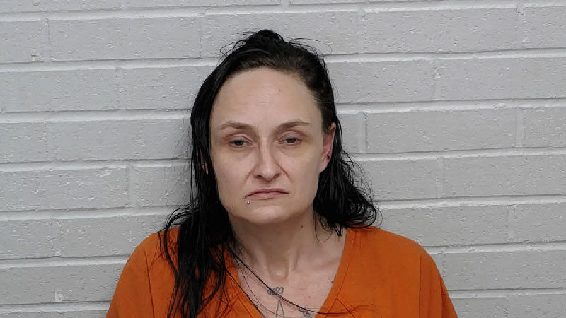 Mugshot of STEPHANIE ALLEN GIBSON