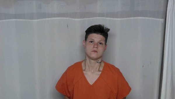 Mugshot of ELIZABETH ANN BARTON