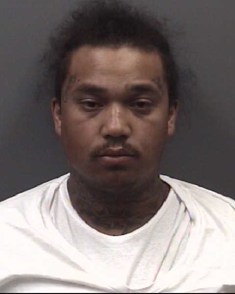 Mugshot of STEVEN LUAN DINH