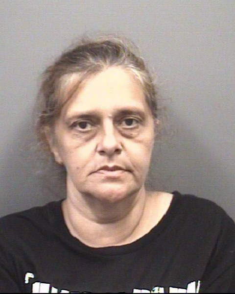 Mugshot of MISTY SPRING BRYANT