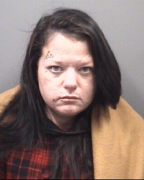 Mugshot of DEANNA NICOLE ROGERS