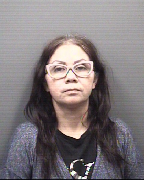 Mugshot of YORLENI BRENES SHOFF