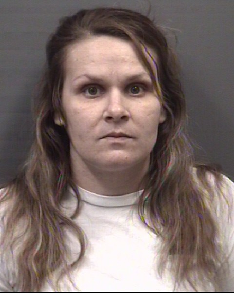 Mugshot of KRISTA MARILEE ELIZ FLEMING
