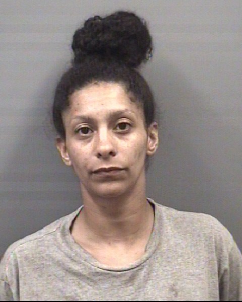 Mugshot of SHERLYN IVY JOHNSON