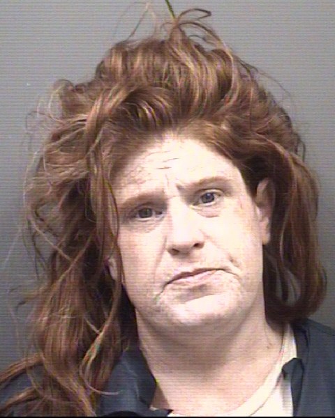 Mugshot of CHERYL JEAN LITTLE