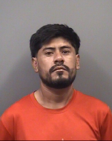 Mugshot of ADALI LUCIANO ALPIZAR