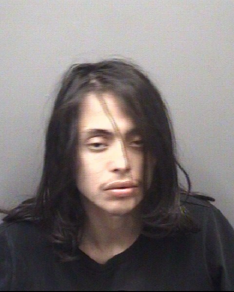 Mugshot of LEELOUIS TOMMY ANDRADE