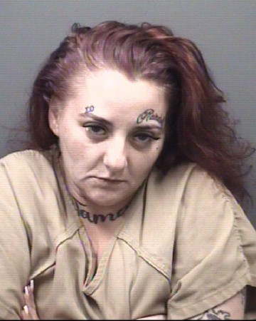 Mugshot of TONIANN DICENZO