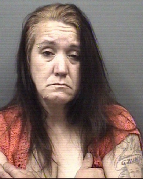 Mugshot of BRENDA GAIL NEWTON