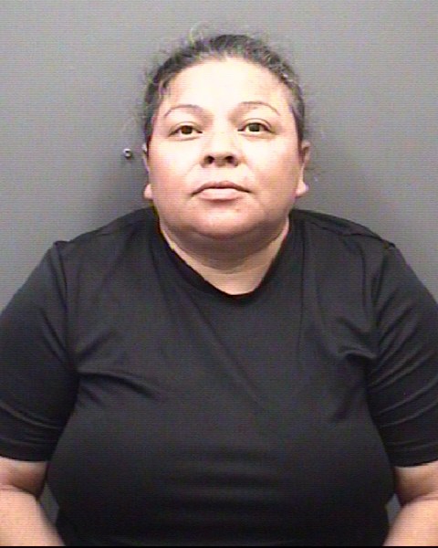 Mugshot of CONCEPCION ERLINDA JIMENEZ