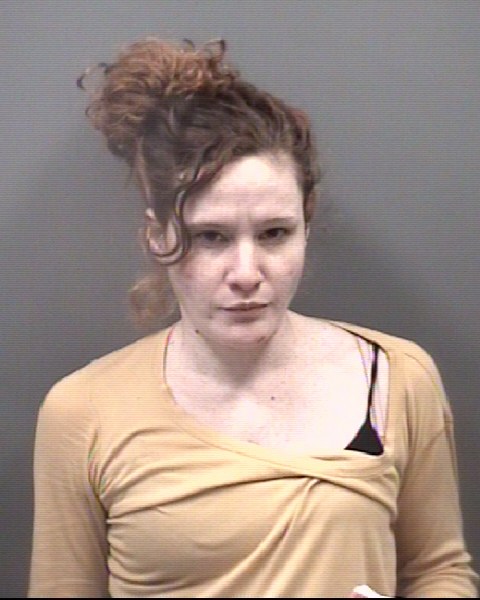 Mugshot of MEGAN TEIL FREEZE