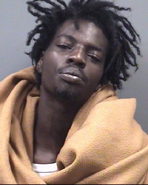 Mugshot of DAZIT GALO LEVINE