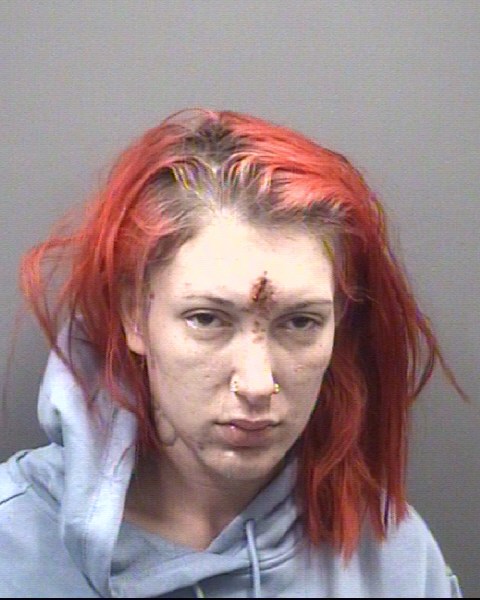 Mugshot of JASMINE SAMARIA VOTRA