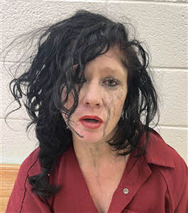 Mugshot of NICOLE RENEE THORNE