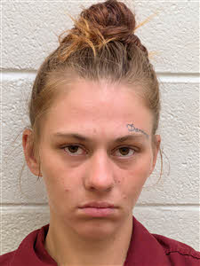 Mugshot of Taylor Paige Stiles
