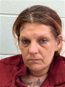 Mugshot of Chasity Julia Causby