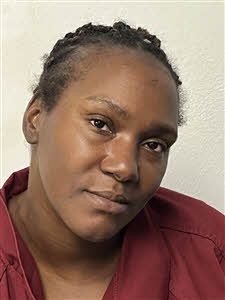 Mugshot of Dominique Petrice Webber