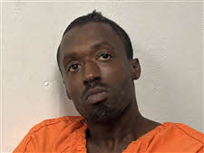 Mugshot of Karun Price