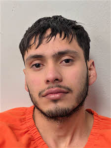 Mugshot of Delber Omar Montal Van- Flores