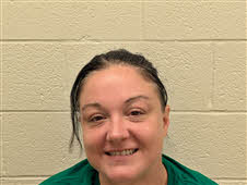 Mugshot of AMANDA HODNETT