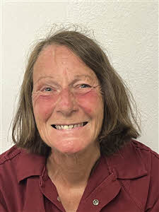 Mugshot of Theresa Marie Johnson