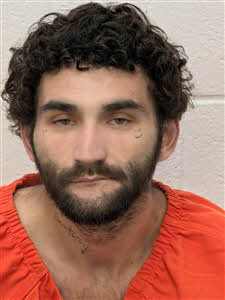 Mugshot of Ronald David Gibson