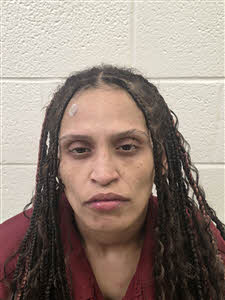 Mugshot of ASHLEIGH ADRIEONA YOUNG