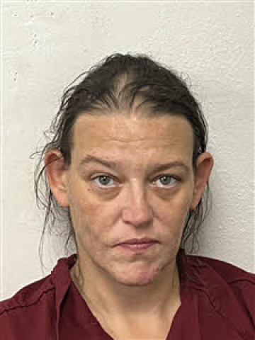 Mugshot of Brandy Nicole Wilson