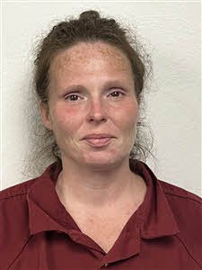 Mugshot of Paige Elaine Reynolds