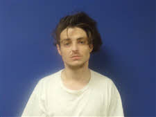 Mugshot of Jessie Danzig Robinson