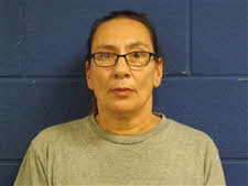 Mugshot of Dianna Carroll Phillips