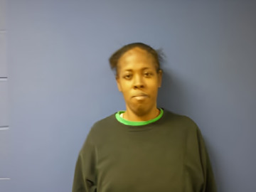 Mugshot of Chelcie Janelle Lundy