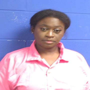 Mugshot of Jannie Denise Johnson