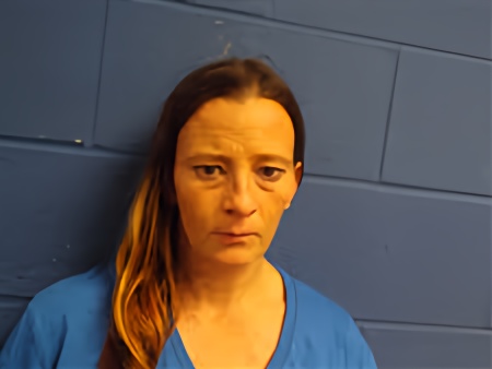 Mugshot of Amy Nichole Young