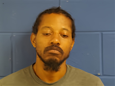 Mugshot of Jerrise Jaquane McNeil