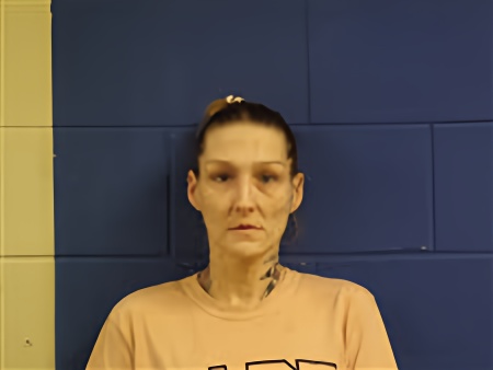 Mugshot of Ellizabeth Grace-Ann Hamm
