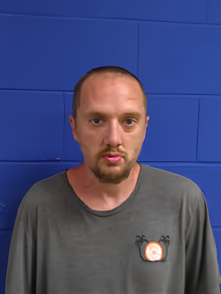 Mugshot of Ronnie Earl Knowles