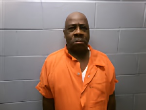Mugshot of LEEWOOD JOHNSON