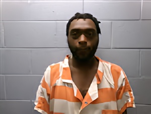 Mugshot of DUWONJA M AUSTIN