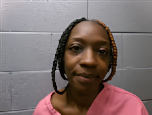 Mugshot of SHANETTA RASHAWN EVERETTE