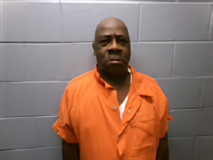 Mugshot of LEEWOOD JOHNSON