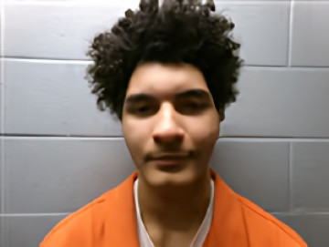 Mugshot of DAVID LOWERY