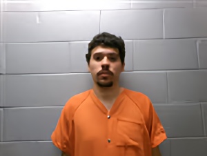 Mugshot of ERIC ADAM MCPHERSON