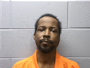 Mugshot of MIKAYA LAMB