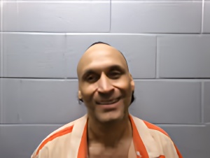 Mugshot of RICKY LEE HAGINS