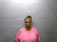 Mugshot of SYLVIA LOCKLEAR