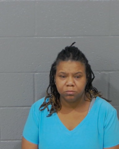 Mugshot of TARA NICHELL BOWDEN
